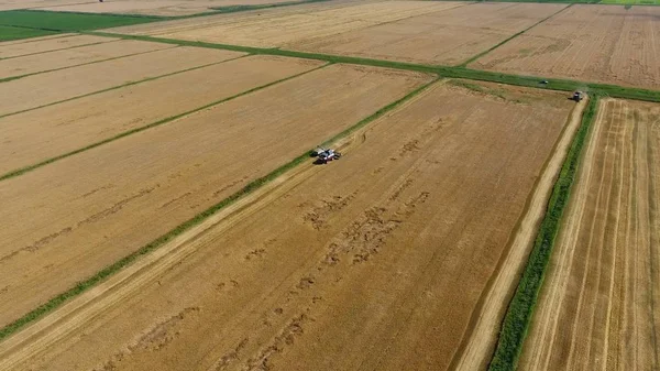 Arpa biçerdöver hasat. Buğday ve arpa, Tarım makineleri iş sahası. Traktörler ve biçerdöverler — Stok fotoğraf