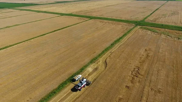 Arpa biçerdöver hasat. Buğday ve arpa, Tarım makineleri iş sahası. Traktörler ve biçerdöverler — Stok fotoğraf