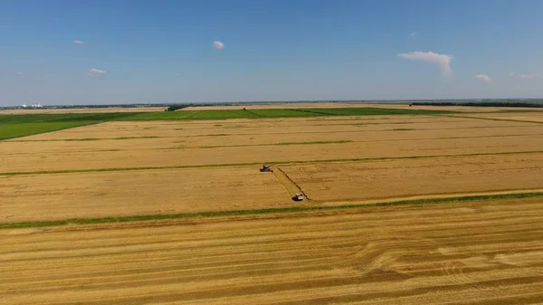 Arpa Biçerdöver Hasat Buğday Arpa Tarım Makineleri Sahası Traktörler Biçerdöverler — Stok fotoğraf