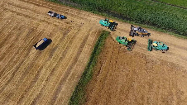 Colheita de colheitadeiras de cevada. Campos de trigo e cevada, o trabalho de máquinas agrícolas. Colheitadeiras e tratores — Fotografia de Stock