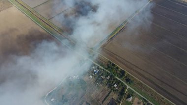 Pirinç saman alanlarındaki yanma. Çekleri pirinç saman yakma gelen duman. Sahada ateş