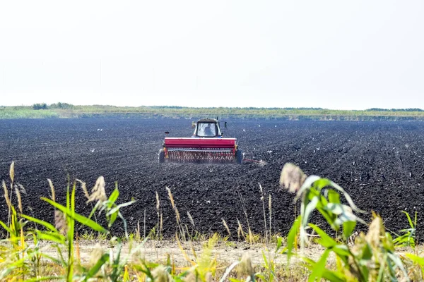 Traktor med en seeder i fältet. frön i marken. — Stockfoto