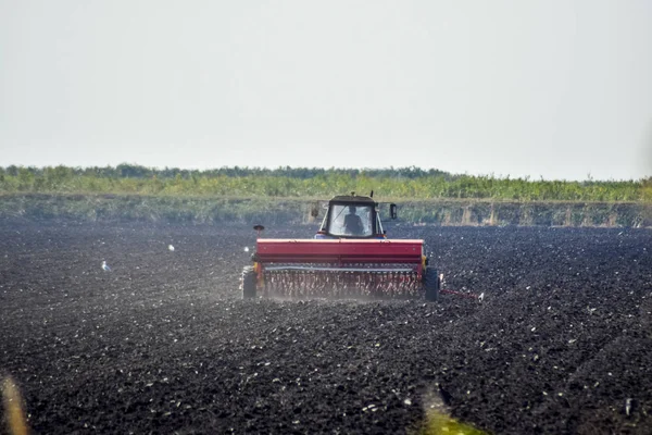 Traktor és a vetőgép területén. magok a talaj vetés. — Stock Fotó