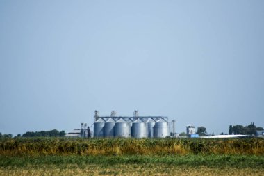 Kurutma ve depolama tahıl için bitki. Pirinç bitki alanları ortasında. Üstten görünüm.