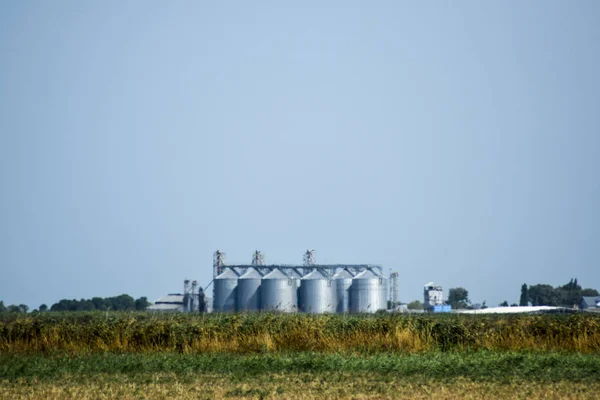 Plant for the drying and storage of grain. Rice plant in the middle of ...