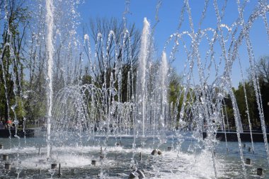 Krasnodar, Rusya - 1 Mayıs 2017: Şehir çeşme Krasnodar şehir. İnsanlar çeşmenin yürüyor. Su sıçraması.