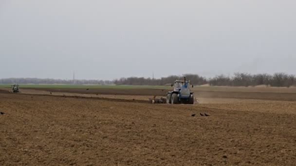 Lave Solte Solo Campo Antes Semear Trator Arado Campo Com — Vídeo de Stock