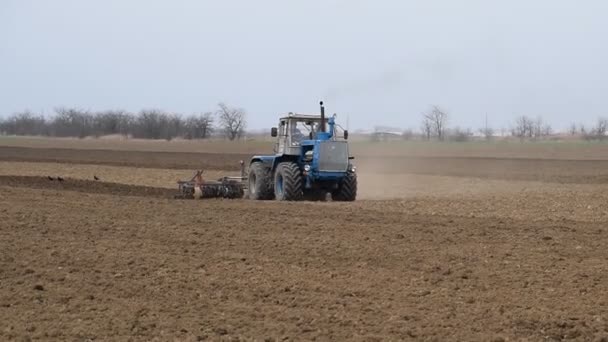 播种前 在田野上茂盛地放松土壤 拖拉机用犁犁耕地 — 图库视频影像