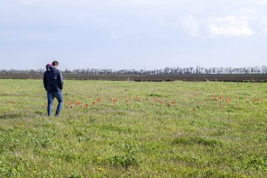 Lale alan bir ceket bir adam. Glade ile Lale