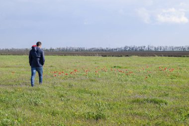 Lale alan bir ceket bir adam. Glade ile Lale