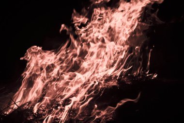 Ateşle. Geceleri pirinç kamışı yakmak.