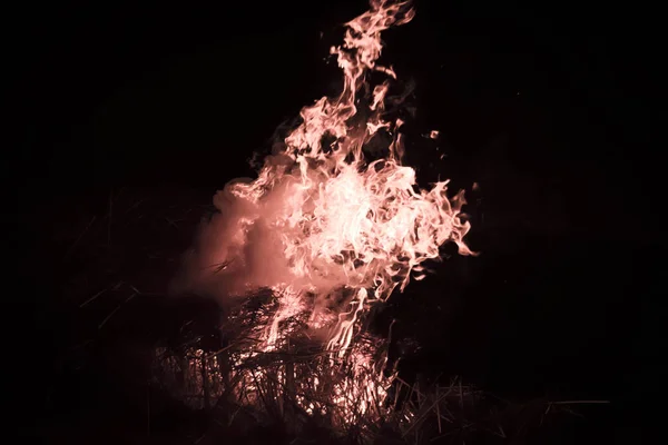 Fuoco Bruciatura Paglia Riso Notte — Foto Stock