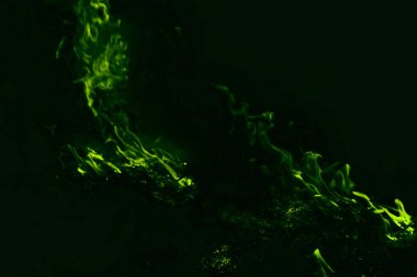 Yeşil Alev. Yangın. Pirinç saman geceleri yanan.