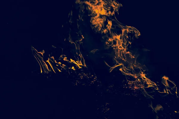 Fuoco Bruciatura Paglia Riso Notte — Foto Stock
