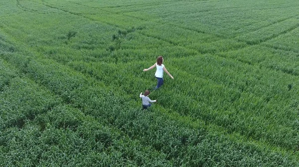 Mujer joven con su hijo jugando en el campo de trigo verde. Caminando al aire libre. Video del dron . —  Fotos de Stock