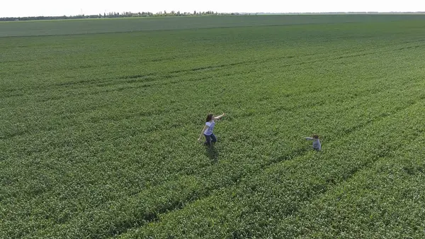 Mujer Joven Con Hijo Jugando Campo Trigo Verde Caminando Aire — Foto de Stock