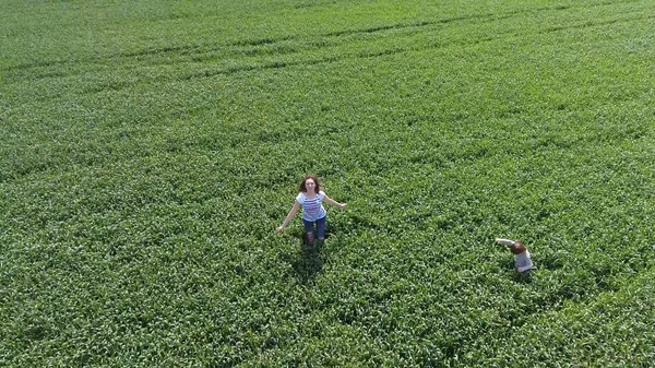 Jovem Com Filho Brincar Campo Trigo Verde Caminhando Livre Vídeo — Fotografia de Stock