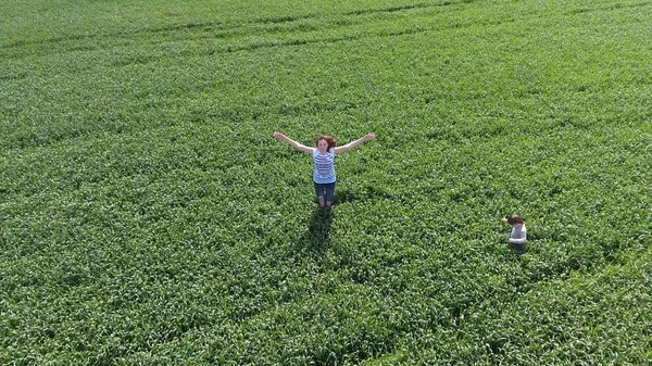 Jovem com o filho a brincar no campo do trigo verde. Caminhando ao ar livre. Vídeo do drone . — Fotografia de Stock