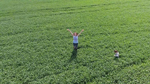 緑の小麦畑で遊んでいる息子を持つ若い女性 戸外で歩きます 無人機からのビデオ — ストック写真