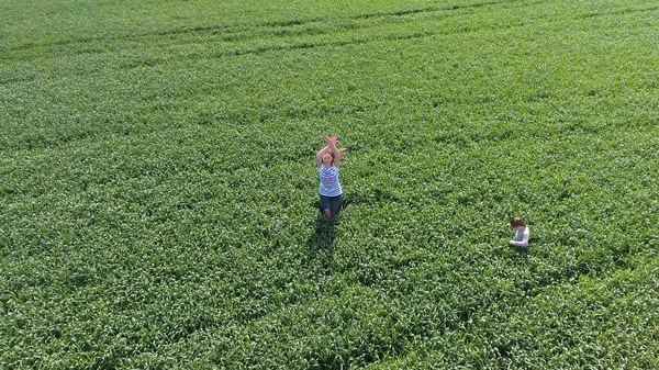 Jovem Com Filho Brincar Campo Trigo Verde Caminhando Livre Vídeo — Fotografia de Stock