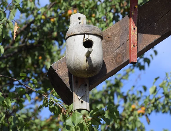 Птичьи домики, дома для птиц — стоковое фото