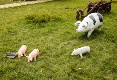 Plastic toy pig. Figures pigs on the lawn clipart