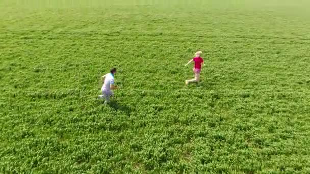 Tizio Corre Dietro Alla Ragazza Nel Campo Grano Uomo Una — Video Stock