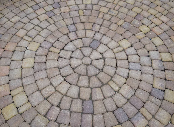 Фон текстуры тротуарной плиты в кругах — стоковое фото