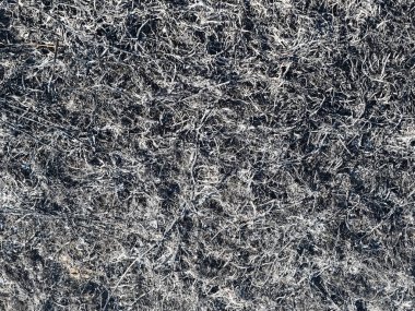 Yanmış çim küllerinden arka plan