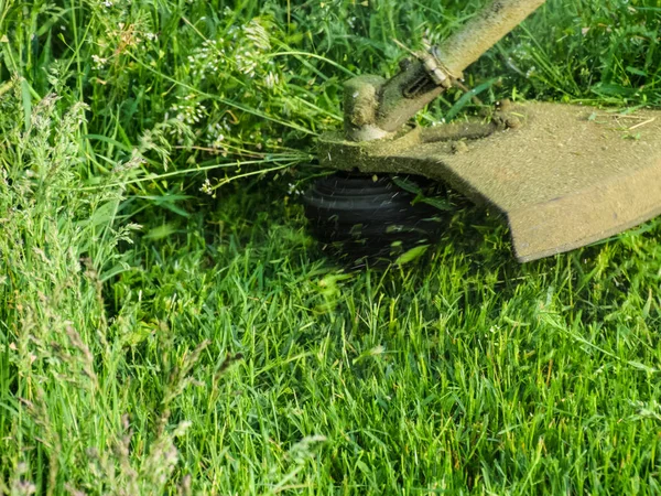 Aanbrengen trimmers. Maaien van groen gras met een vislijn tr — Stockfoto