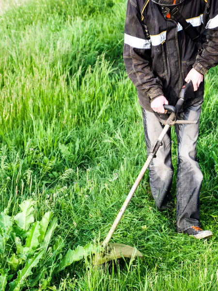 Pemangkas aplikasi. Memotong rumput hijau menggunakan tali pancing tr — Stok Foto
