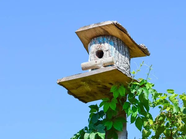 Birdhouses, madarak ház — Stock Fotó