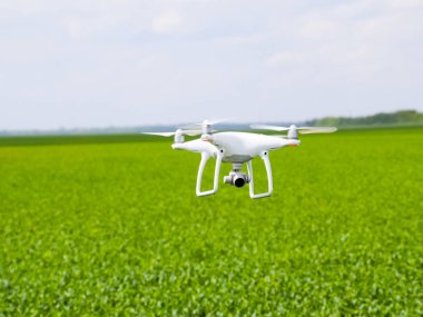 Beyaz quadrocopters buğday bir alan üzerinde uçan
