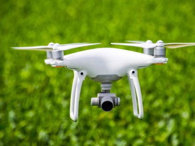 Beyaz quadrocopters buğday bir alan üzerinde uçan