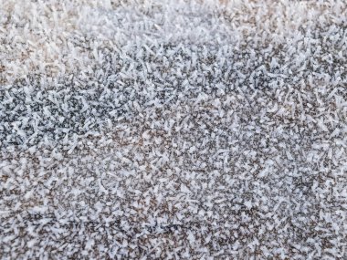 Hoarfrost ağaç gövde yüzeyi