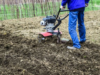 Yürüyüş arka plan traktör altında patates dikim