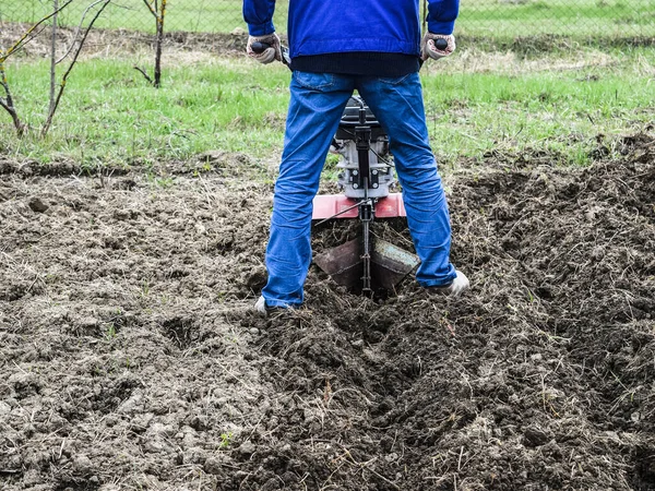 Planten van aardappelen onder de gang-achter trekker — Stockfoto