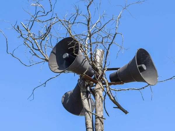 Rocznika hornspeakers na suche drzewo — Zdjęcie stockowe