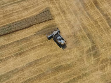 υψηλής ανάλυσης απόδοσης μιας πυξίδας με ένα εικονίδιο του πελάτη