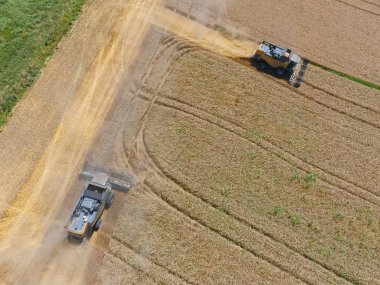 υψηλής ανάλυσης απόδοσης μιας πυξίδας με ένα εικονίδιο του πελάτη