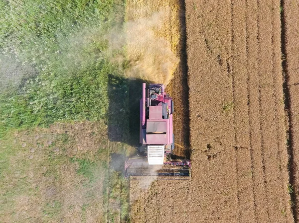 Очищення пшеничного комбайна. Вид зверху . — стокове фото