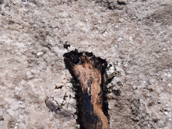 Human foot in the mud and salt lake brine — Stock Photo, Image