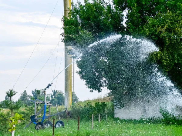 Система зрошення Водопостачання в саду. поливати розсаду — стокове фото