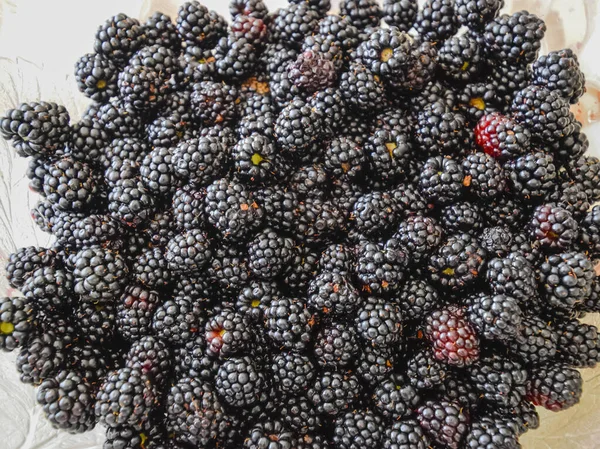 Placa con moras negras bayas — Foto de Stock