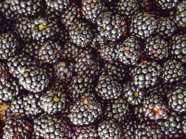 Plate with berries black blackberries — Stock Photo, Image