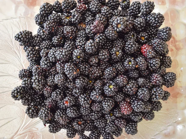 Meyveleri siyah böğürtlen ile plaka — Stok fotoğraf