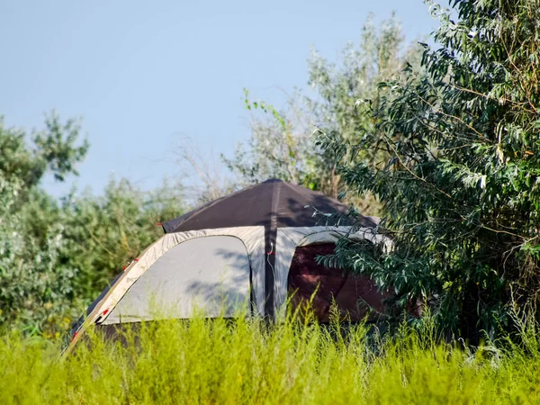Namiot turystyczny pod drzewem. Turystyczny Camping. Multi namiot — Zdjęcie stockowe
