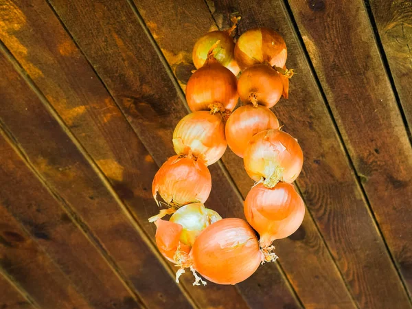 Menggantung bohlam bawang. — Stok Foto