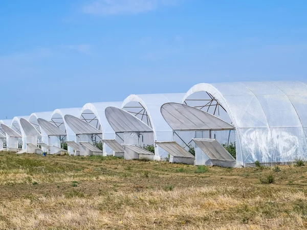 stock image A group of greenhouses for growing tomatoes and cucumbers.