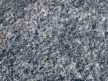 Yanmış çim küllerinden arka plan